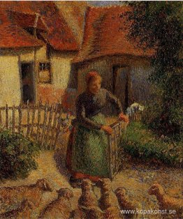 Herdinna som tar in får Herdinna som tar in får