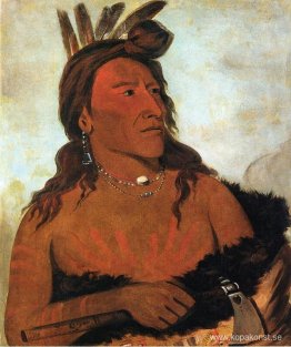 Lilla björnen, Hunkpapa Brave Lilla björnen, Hunkpapa Brave