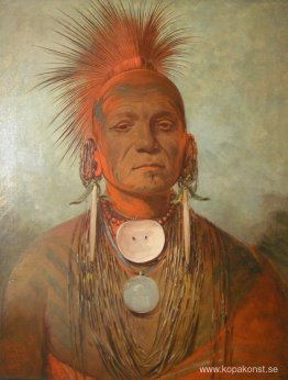 See-non-ty-a, en Iowa Medicine Man See-non-ty-a, en Iowa Medicine Man