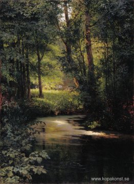 Bäck i skogen Bäck i skogen