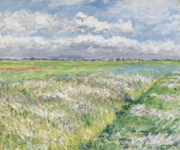 Fields, slätten i Gennevilliers Fields, slätten i Gennevilliers