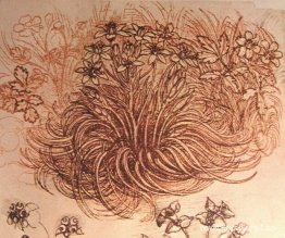 Ritning av en botanisk studie Ritning av en botanisk studie