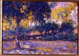 Landskap med eukalyptusträd och flod. Träd framför en flod Landskap med eukalyptusträd och flod. Träd framför en flod