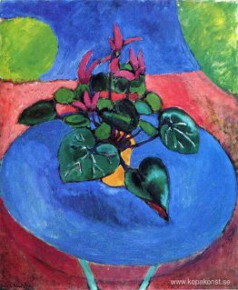 Cyclamen Pourpre Cyclamen Pourpre