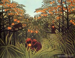 Apor i apelsinlunden Apor i apelsinlunden