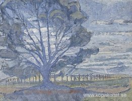 Willunga landskap Willunga landskap