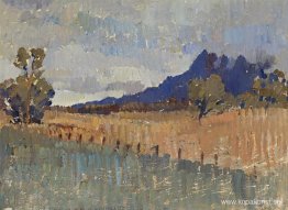 Northern Landccape (Flinders Ranges-landskap med regn som närmar Northern Landccape (Flinders Ranges-landskap med regn som närmar