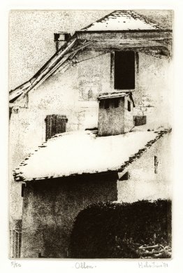 Tak i byn Ollon, kanton Vaud, Schweiz Tak i byn Ollon, kanton Vaud, Schweiz
