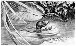 Kriget mellan grodorna och mössen 04 Kriget mellan grodorna och mössen 04