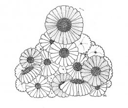 Årets på våren Årets på våren