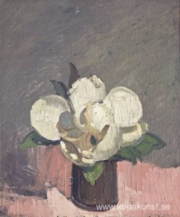 Magnolia Magnolia