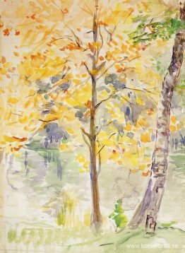 Höstfärger i Bois de Boulogne Höstfärger i Bois de Boulogne