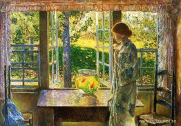 Guldfiskfönstret Guldfiskfönstret