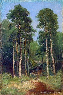 Skogsbäck Skogsbäck