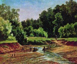 Skogslandskap Skogslandskap