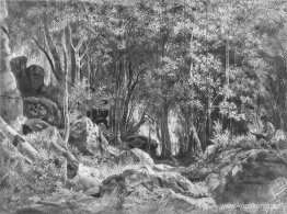 Valaam. Skog på klipporna Valaam. Skog på klipporna