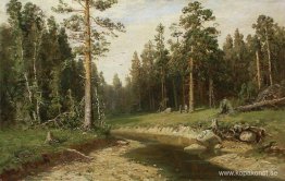 Mastträdskog Mastträdskog