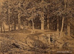 Edge of the Forest (granskog) Edge of the Forest (granskog)