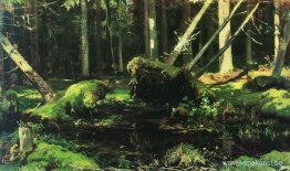 Vindfallna träd Vindfallna träd