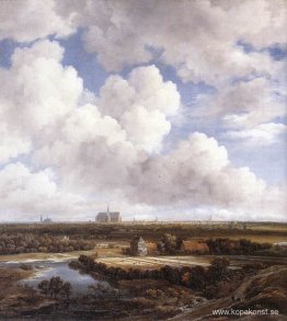 Utsikt över Haarlem med blekningsområden Utsikt över Haarlem med blekningsområden