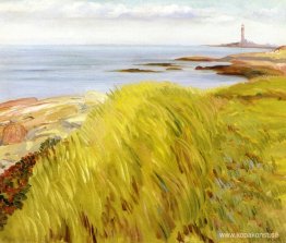 Gräsbevuxna sanddyner, Gloucester Gräsbevuxna sanddyner, Gloucester