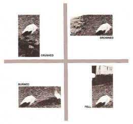 Dödsorsaker Dödsorsaker