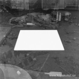 Fyra ämnen jämnt fördelade runt en förberedd mark Fyra ämnen jämnt fördelade runt en förberedd mark