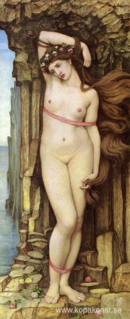 Andromeda Andromeda