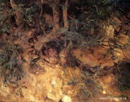 Valdemosa, Mallorca tistlar och örtväxter på en sluttning Valdemosa, Mallorca tistlar och örtväxter på en sluttning