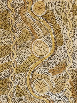 Bush Tucker efter regn Bush Tucker efter regn