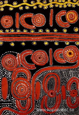 Wild Orange Story Wild Orange Story