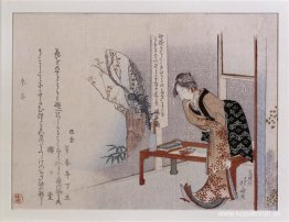 Kvinna i ett interiör Kvinna i ett interiör