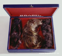 Visuella dikter. Box Brasilien Visuella dikter. Box Brasilien