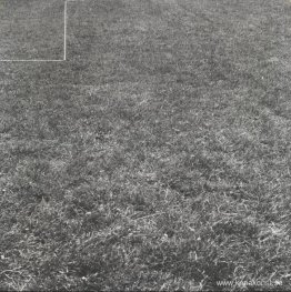 Perspektivkorrigering Perspektivkorrigering