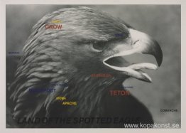 Fläckörnens land Fläckörnens land