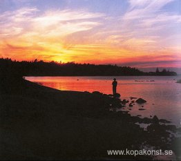 Farväl till Faraway Friends Farväl till Faraway Friends