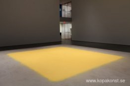 Pollen från hasselnöt Pollen från hasselnöt