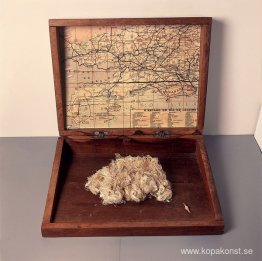 Fysisk konst: sladdar / 30 km förlängd linje Fysisk konst: sladdar / 30 km förlängd linje