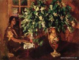 Fågelkörsbär Fågelkörsbär