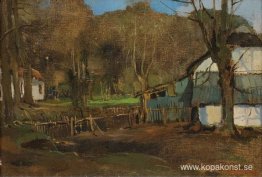 Landskap, Bishops Court Landskap, Bishops Court