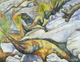 Inte upptäckt Inte upptäckt