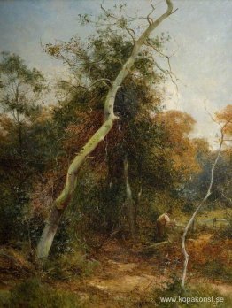 Laga staketet, Sutton Park Laga staketet, Sutton Park