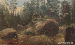 Stenblock i skogen Stenblock i skogen