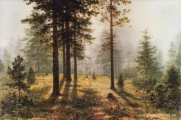 Dimma i skogen Dimma i skogen