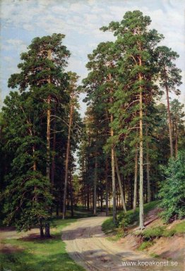 Solen i skogen Solen i skogen