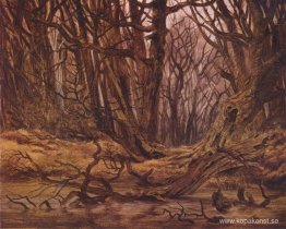 Forrest i slutet av hösten Forrest i slutet av hösten