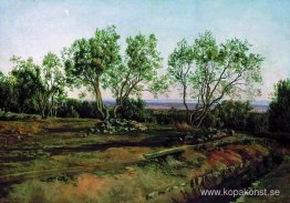 Olivträd vid kyrkogården i Albano. Nymåne. Olivträd vid kyrkogården i Albano. Nymåne.