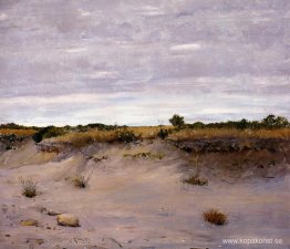 Vindsvept Sands, Shinnecock, Long Island Vindsvept Sands, Shinnecock, Long Island