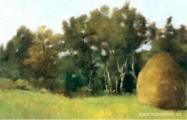 Chow och cucks av hö Chow och cucks av hö