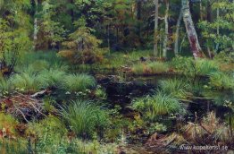 Vår i skogen Vår i skogen